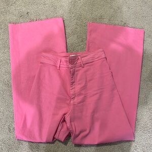 Zara Marine Pant